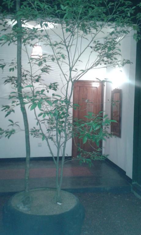 Milano Grand Hotel Dambulla Exterior photo