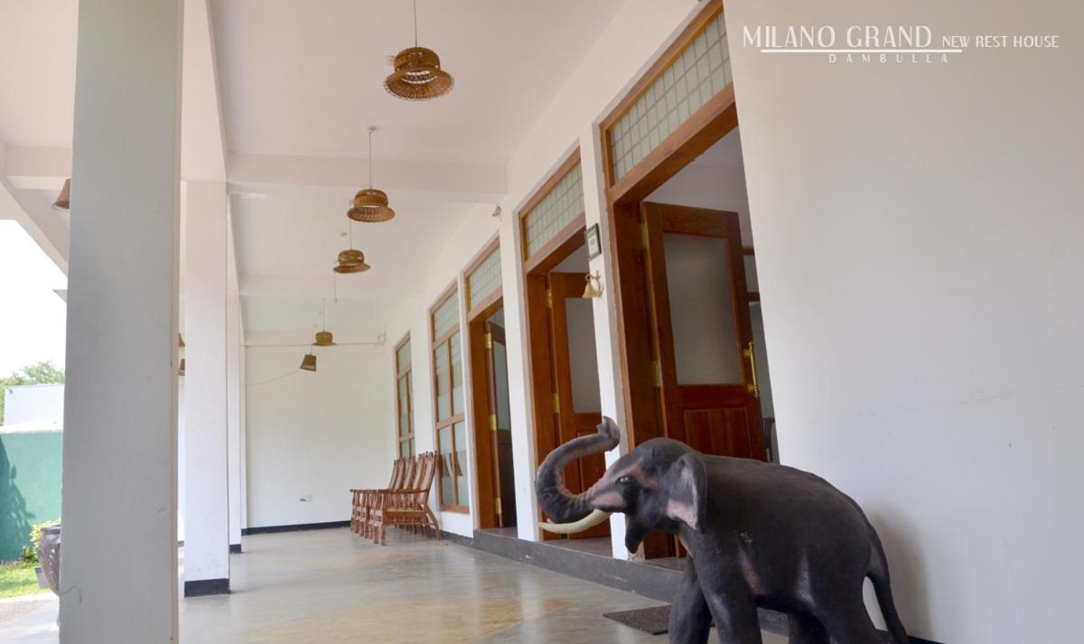 Milano Grand Hotel Dambulla Exterior photo